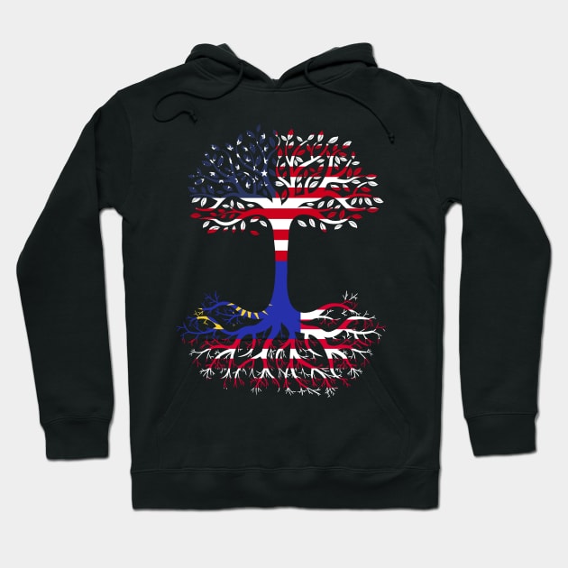 American Grown Malaysia Roots Malaysia Flag Hoodie by BramCrye